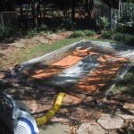 stained plywood sitting outside drying