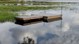 Two sections of floating dock on lake